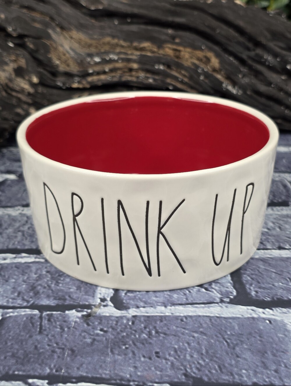 Rae Dunn DRINK UP Ceramic Pet Water Bowl – Red & White